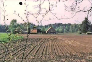 BOE 16 Tromphof in het landschap 1992